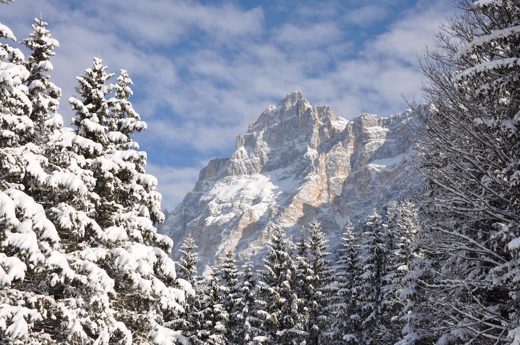 Hotel Roma San Vito di Cadore Dış mekan fotoğraf