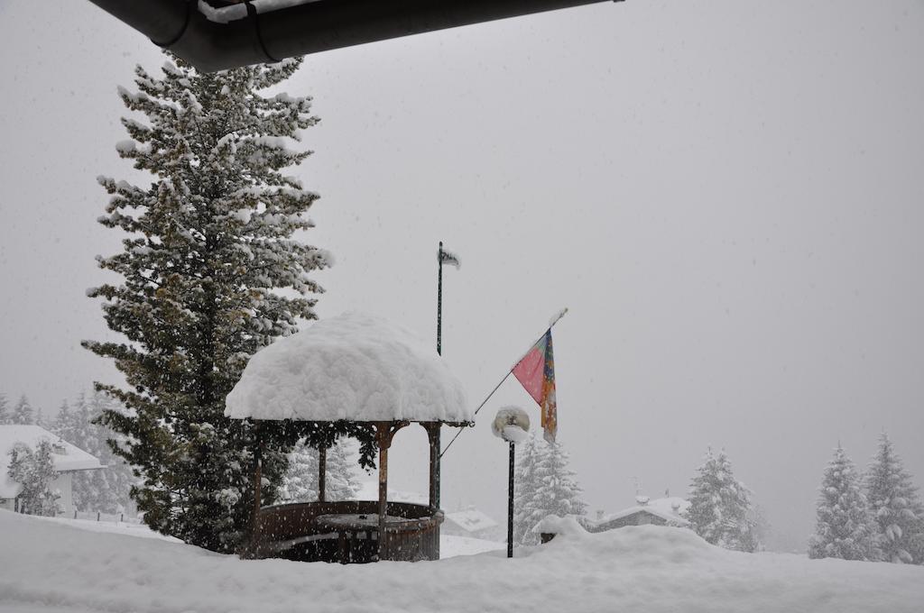 Hotel Roma San Vito di Cadore Dış mekan fotoğraf